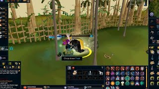 Runescape  Complete 120 Woodcutting Guide  All Efficient Methods [upl. by Lytle]