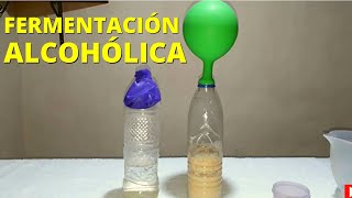 Experimento sobre la fermentación alcohólica procedimiento y materiales [upl. by Oterol]