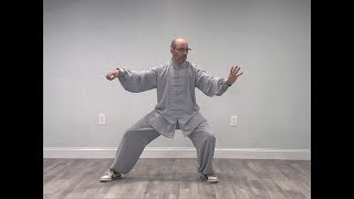 Marin Spivack Chen Shi Taijiquan Gongfu Jia 23 Sequences 2018 陈氏太极拳 [upl. by Pomona]