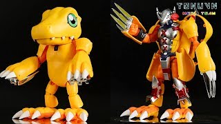 TMT560 Digivolving Spirits 01 WarGreymon 超進化魂 01 ウォーグレイモン Digimon Adventure [upl. by Nuahsyar848]