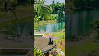 Kerala view music love bollywood song movie onamtraditions attitude travel [upl. by Cirad]