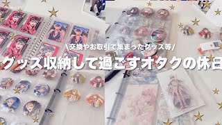 【収納】グッズ収納！🌟グッズ収納して過ごすオタクの休日アイナナ 缶バッジ、ウエハースカード、アイナナ EXPOグッズをファイリング グッズ収納 [upl. by Lleon779]