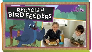 Make Your Own Recycled Bird Feeders  sciencegoals [upl. by Hamer]