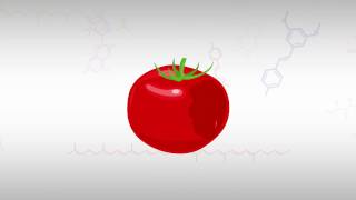 Lycopene  What You Need to Know in About 1 Minute [upl. by Rexana612]