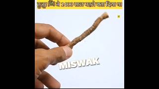 MISWAK KE FAYDEMiswak benefit shorts islam facts [upl. by Nnyletak]