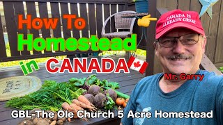 🇨🇦How To Homestead in Canada FREE Backyard Grocery Store canada homestead howto [upl. by Claire]