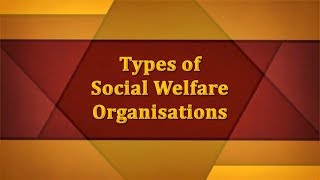 Types of Social Welfare Organisations [upl. by Silletram641]