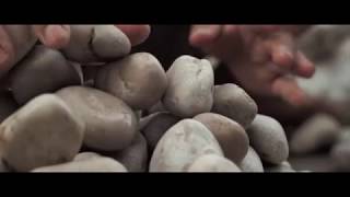 Pebble Tile Production Indonesia [upl. by Nunnery923]