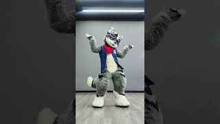 Do the niconiconi dance niconiconii lovelive kemono kemonofurry kemonofursuit furrytiktok [upl. by Hedveh]