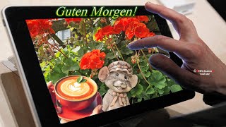 Guten Morgen ☕ Ein Kaffee und ein Lächeln für die gute Laune 😉 Liebe Grüße aus der Ferne 💗 [upl. by Adnilemreh]