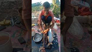 Pangas fish cutting skills 40 🐬😱 shorts [upl. by Vonny]