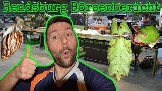 Börsenbericht Rendsburg 07102018 [upl. by Joel]