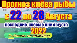 Прогноз клева рыбы на эту неделю с 22 по 28 Августа Календарь рыбака на август Календарь клева рыбы [upl. by Htiduj]