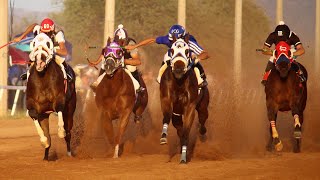 Carreras de Caballos en el Hipodromo de Rayon 04 Octubre 2020 [upl. by Gottfried]