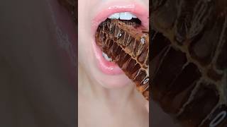 ASMR Satisfying Eating Honey Comb asmr honey youtubechamps [upl. by Aundrea]