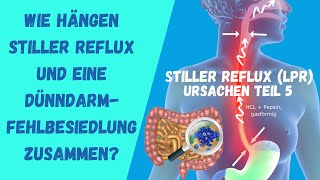 Wie hängen Stiller Reflux und eine Dünndarmfehlbesiedlung zusammen [upl. by Nuahsal]