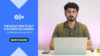 What Is The Right Time To Buy A Sacrificial Animal  OLX Pakistan [upl. by Enilorak]