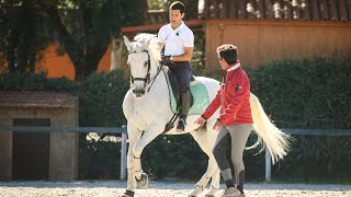 Lusitano International Dressage Team Clinic [upl. by Ateekram]