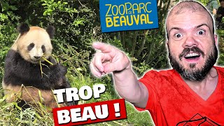 Une visite de fou au Zoo de Beauval 😱 [upl. by Nahtanohj]