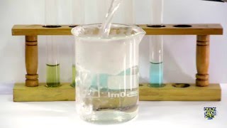 Food Tests  Iodine Biuret Benedicts Ethanol DCPIP [upl. by Bach213]