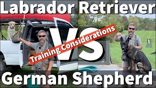 Labrador Retriever VS German Shepherd  Transferring Dog Training Skillsets [upl. by Urana]