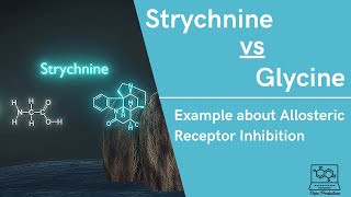 Strychnine vs GlycineExample of Allosteric Receptor Inhibition [upl. by Chere]