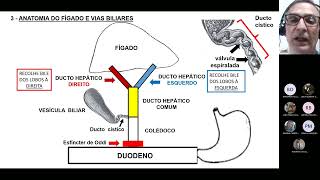 FISIOLOGIA VETERINÁRIA – FÍGADO [upl. by Dosi]