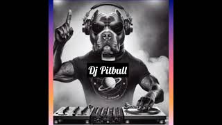 Dj Pit Bull Vol 58  Nochevieja 2011 Megamix [upl. by Purpura]