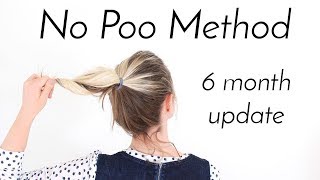 Updated No Poo Hair Routine  Coloured Bleached Hair [upl. by Lisa]