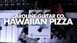 Caroline Guitar Co Hawaiian Pizza  Demo  NoiseGenerator [upl. by Naicad]