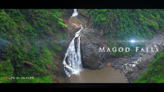 Magod Falls  Yellapur  Waterfalls near Sirsi  Karnataka Tourism  Magod Waterfall [upl. by Eitsyrc196]