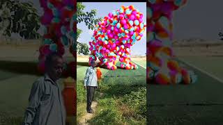 The Mascot Vaibreto Assistant Please On the Football Field viralvideo funny mohit vfx [upl. by Dolores]