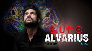 BUFO ALVARIUS  Mi experiencia personal  Por José Sedek [upl. by Alby]