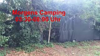 Camping Ca Savio Eurocamp Gänse und Hähne morgens Lärm [upl. by Genet]