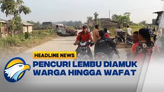 Pencuri Lembu di Deli Serdang Diamuk Warga Hingga Wafat [upl. by Artekal150]