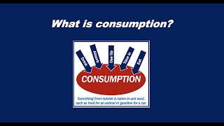 What is consumption [upl. by Melony]