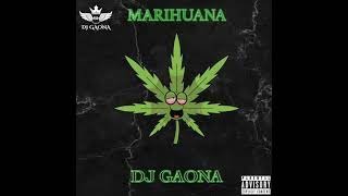 Marihuana Remix Dj Gaona [upl. by Ahtoelc615]