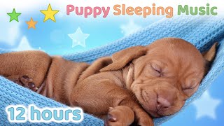 ☆ 12 HOURS ☆ Puppy Sleeping Music 🐶 ♫ SLEEP MUSIC for Dogs ☆ Dog Sleep Music ☆ Dog Music [upl. by Ennoryt]