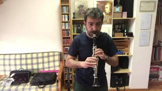 JORGE MONTILLA REGISTRO DE PAJARILLO E FLAT CLARINET [upl. by Oren]