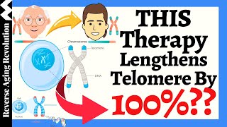 THIS Therapy Lengthens Telomere By 100  Reported By A 83 Year Old Doctor [upl. by Marcus]