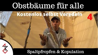 Obstbäume selbst Veredeln  Spaltpfropfen und Kopulation [upl. by Denise]