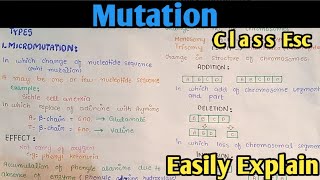 Mutation And Its Types  Chromosomal Aberration  Class 12 Biology [upl. by Witt]