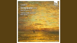 String Quartet in C Minor D 703 I Allegro [upl. by Hubey]