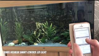 Juwel HeliaLux Aquarium Smart Control Light Stunning [upl. by Rumpf363]