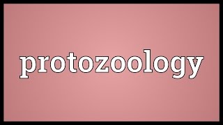 Protozoology Meaning [upl. by Madalyn]