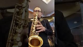 Alto Saxophone Mandalika livemusic saxophone review altosax mandalikasaxophone [upl. by Eixela]