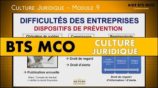 AIDE BTS MCO  Les dispositifs face aux difficultés des entreprises  CULTURE JURIDIQUE BTS [upl. by Negrom]