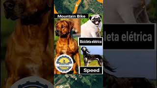 mtbcicloturismo  santoandre  mtb  mtbpeba  bike [upl. by Lora304]