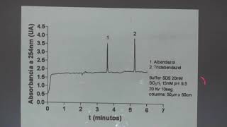 QAI Electroforesis Capilar III [upl. by Adigun]