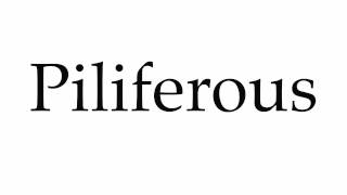 How to Pronounce Piliferous [upl. by Ailegra]